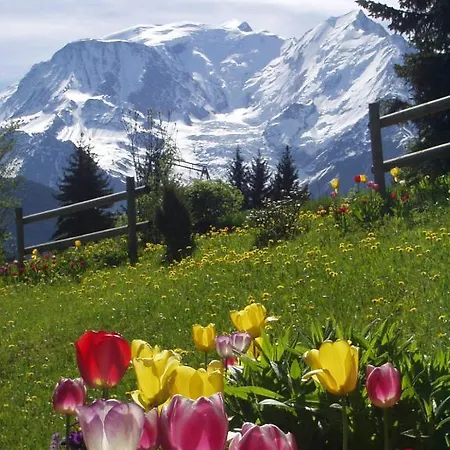 Apartment Marie Mont Blanc Vue Mont Blanc Saint-Gervais-les-Bains