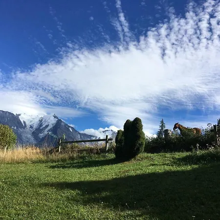 Marie Mont Blanc Vue Mont Blanc Apartment *